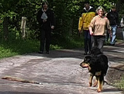  Jugendbeurteilung Zuchttauglichkeitsprüfung Hovawart Ablauf Jugendbeurteilung Zuchttauglichkeitsprüfung 