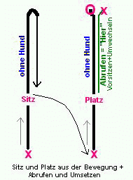 Unterordnung Begleithundprüfung Tipps Unterordnung Begleithund Hovawart Platz Hundesport Begleithundprüfung 