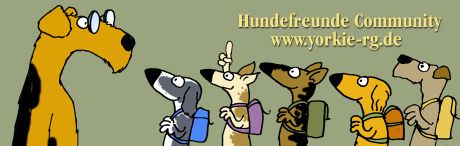 Hovawartforum Hovawart Forum Forum Hovawart Hovawartforum