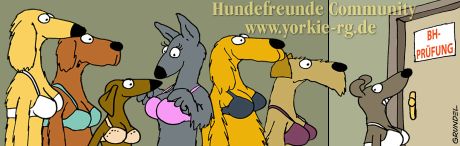 Hovawartforum Hovawart Forum Forum Hovawart Hovawartforum