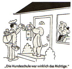 Hovawart Rasseportrait Steckbrief Charakter Wesen Verhalten Krankheiten Hovawart Rüde Familienhund Hovawart Rasseportrait Steckbrief Charakter Wesen Verhalten Krankheiten Hovawart Rüde Familienhund Hovawart Rasseportrait Steckbrief Charakter Wesen 