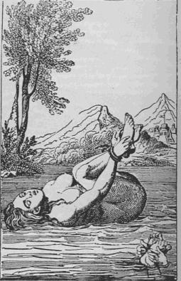 Hovawart-Welpen kaufen Familienhund Hovawarte Hündin Hundezucht Welpe Hovawarts Züchter Rüden Hovewart Zucht Hovawarten schwarzmarken blond Hovi Kosten Welpe Welpen kaufen Welpenkauf Hovawartzüchter Hovawartzwinger