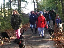 Hundeerziehung Erziehung Verständigung Mensch-Hund Kommunikation Erziehung Hundesprache Hundeerziehung Strafe Alpha Gehorsam Vertrauen Hovawart Alphawurf Hundeerziehung ohne Gewalt Erziehung Tipps und Regeln zur Hundeerziehung Erziehung Tipps nein Hundeerziehung 