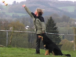 Hundeausbildung ohne Zwang Hundesport Hundeausbildung Übungen zur Unterordnung Hundeausbildung Hundetraining Tipps Hunde trainieren Hundeausbildung Hundesport Tipps für die Hundeausbildung Gebrauchshundeausbildung Hundetraining Hovawart Hundeausbildung