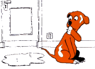 Leinenführigkeit Sozialisierung von Welpen Leinenführigkeit Welpenerziehung Welpen aggressiv Welpenerziehung Beißhemmhung bei jungen Hunden trainieren Welpenschutz Hovawart Welpenerziehung Erziehung Welpen Gassi gehen Stubenreinheit Sauberkeit Ziehen