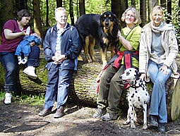 Schleppleine starker Jagdtrieb von Hunden Schleppleinentraining Was muss ich tun, wenn mein Hund Jagdtrieb hat? Schleppleinentraining 