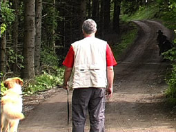  Jugendbeurteilung Zuchttauglichkeitsprüfung Ablauf Jugendbeurteilung Zuchttauglichkeitsprüfung  des Hovawarts